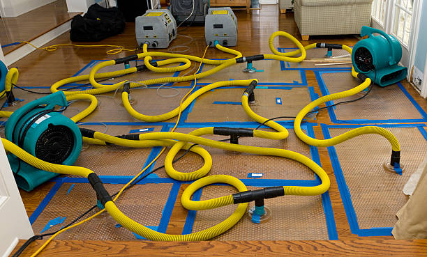 Professional Sewage Cleanup technician working in Cheney, KS